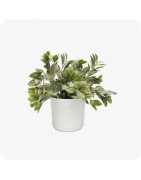 Plantes artificielles