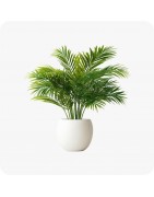 Plantes artificielles en pot