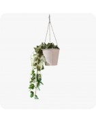 Plantes artificielles en chute