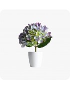 Plantes fleuries artificielles