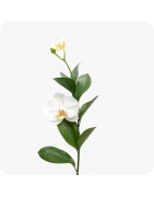 Fleurs artificielles à la tige