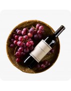 Univers du vin