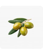 Olives