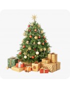 Noël