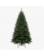 Sapins de Noël