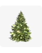 Sapins lumineux