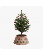 tour de sapin