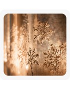 Rideaux de neige