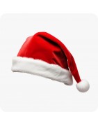 Déguisements de Noël