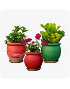 Pots de fleurs d’extérieur : découvrez tous nos produits !