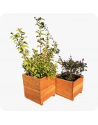 Contenants en bois