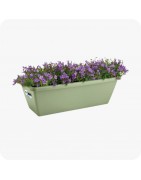 Pots de fleurs en plastique