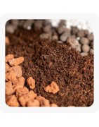 Terreaux pour plantes d'intérieur