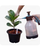 Traitements plantes