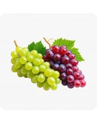Vignes