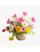 Compositions florales