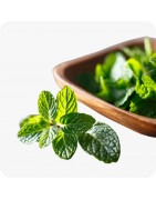 Plantes aromatiques