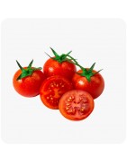 Tomates