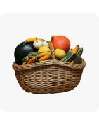 Curcubitacées