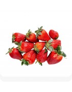 Fraisiers