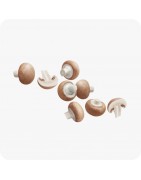 champignons