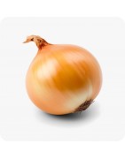 Bulbes ail, oignon et échalote