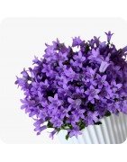 Fleuriste