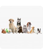 Animalerie
