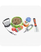 Accessoires pour chien