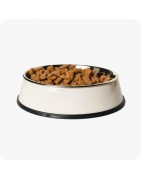 Nourriture pour chat