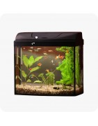 Aquariums