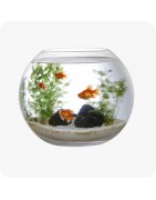 Accessoires pour aquarium