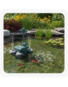 Bassins pour poissons| Animalerie Chambéry  – Au Jardin des Plantes