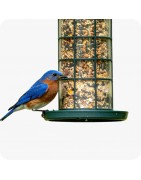 Nourriture pour oiseaux | Chambéry – Au Jardin des Plantes