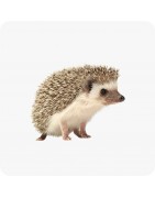 Animaux de la nature
