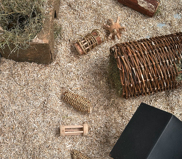 Accessoires pour rongeurs