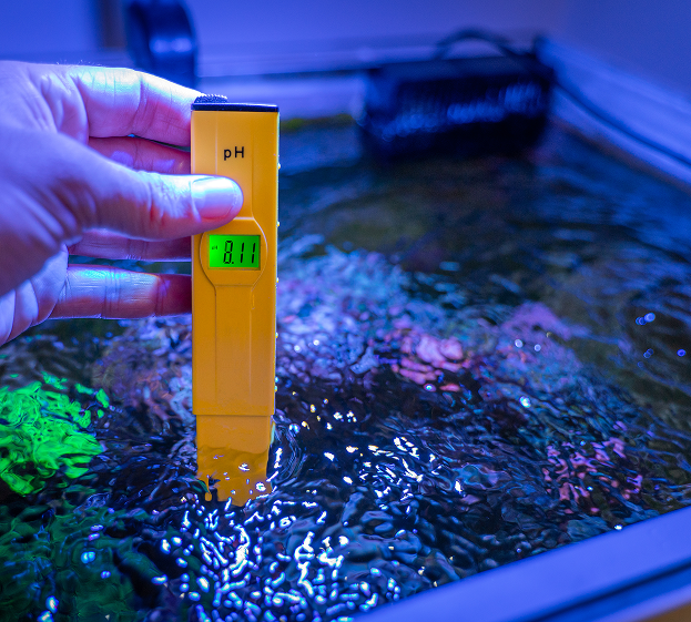 Pompe et filtre pour aquarium