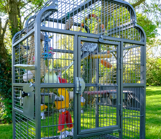 Volières pour oiseaux