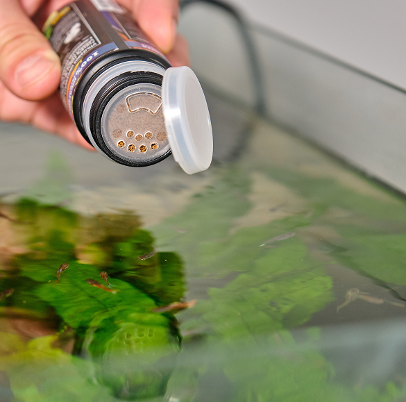 nourriture pour poisson