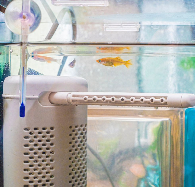 Pompe et filtre pour aquarium