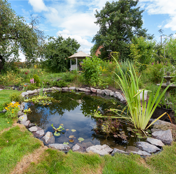 Bassins pour poissons