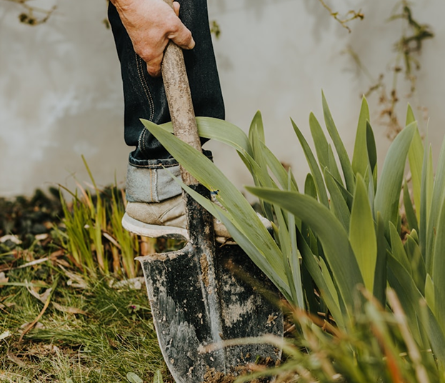 Matériels de jardinage