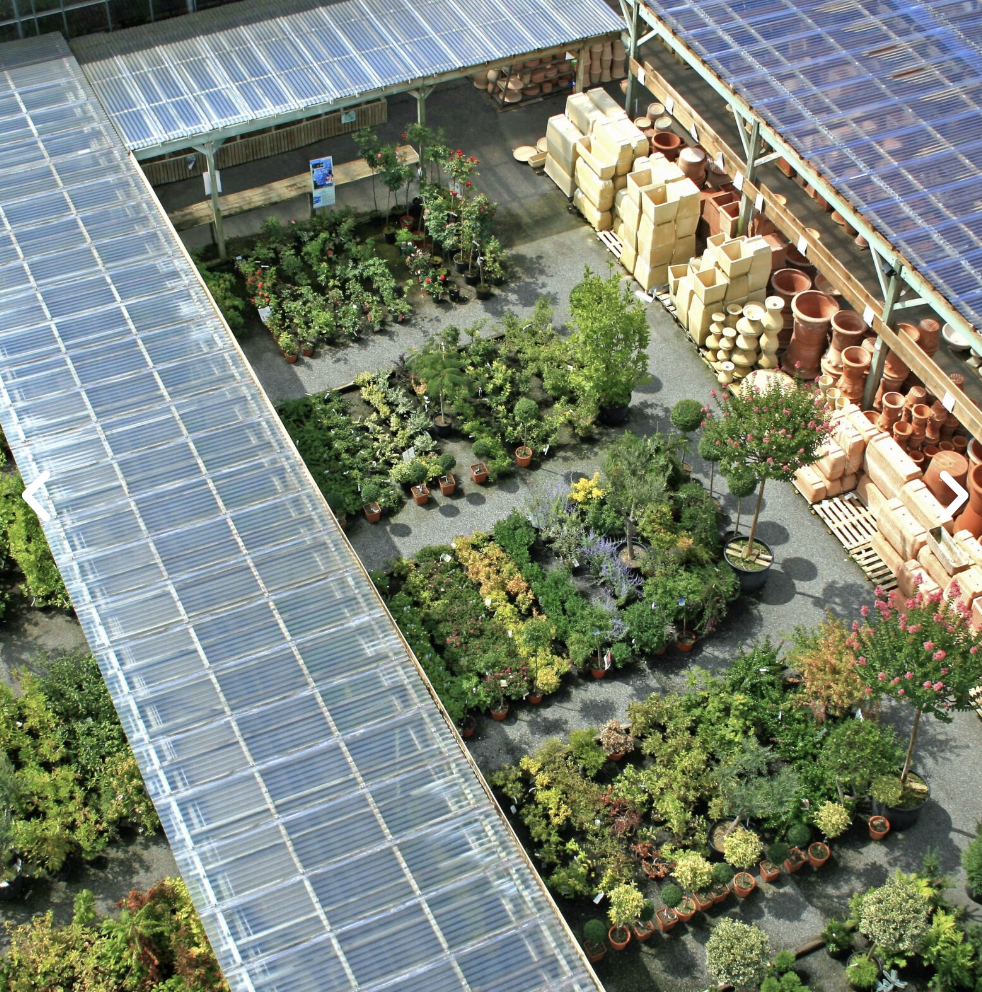 PLANTES