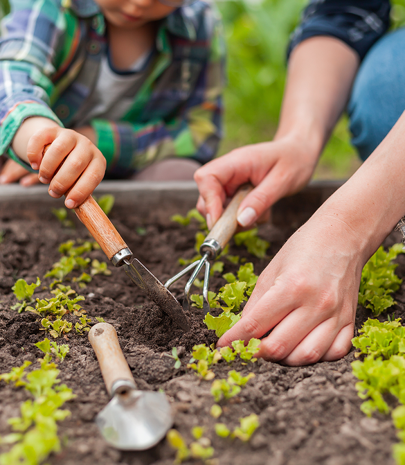 outils de jardin