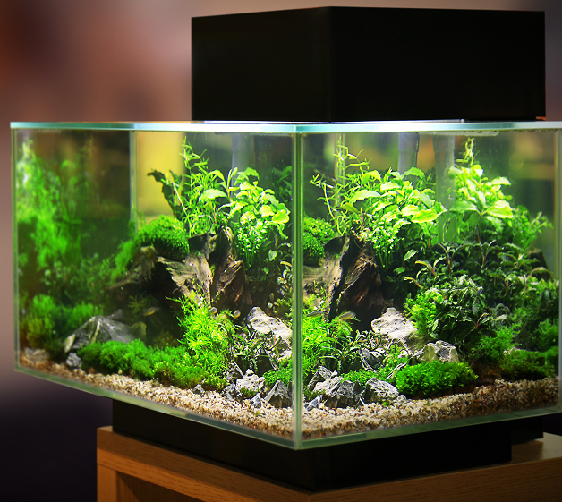 accessoires pour aquarium