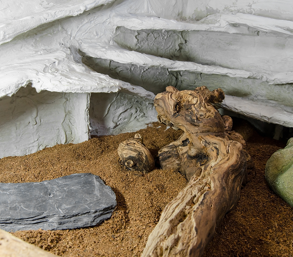 Accessoires terrarium