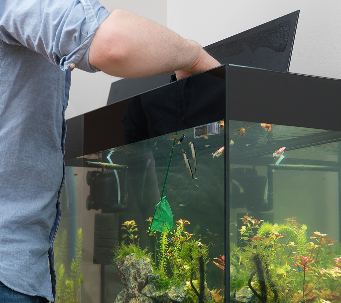 Pompe et filtre pour aquarium