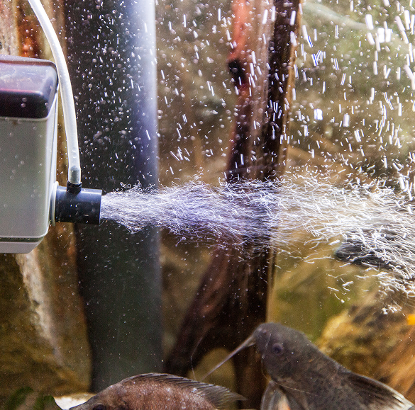 Pompe et filtre pour aquarium