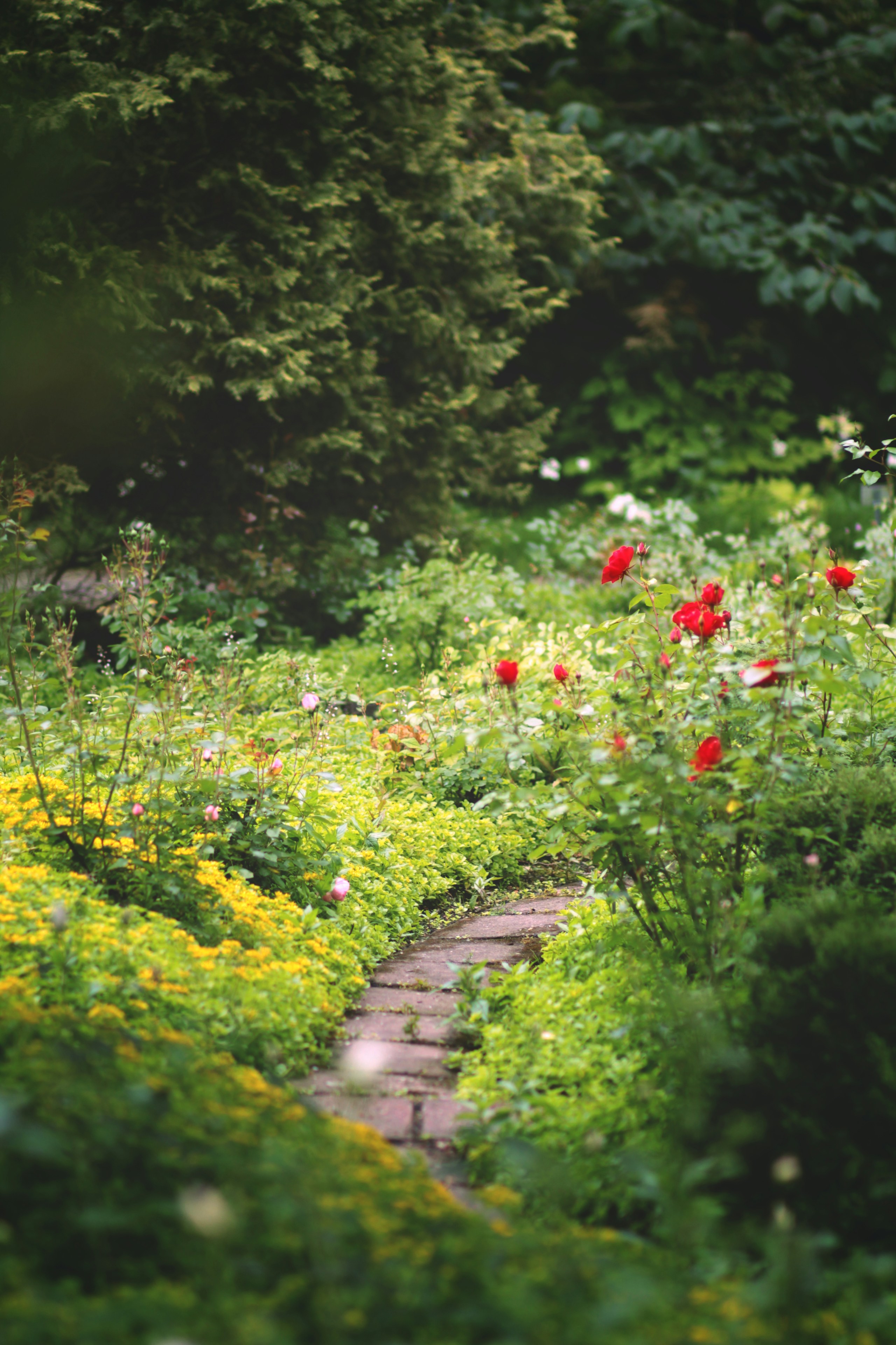 Le Jardin
